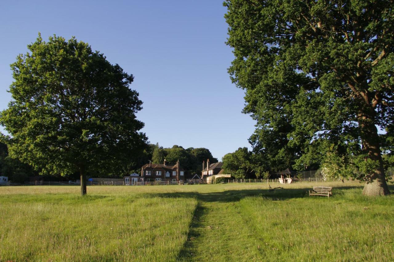 Bewl Rookery B&B Wadhurst Eksteriør billede